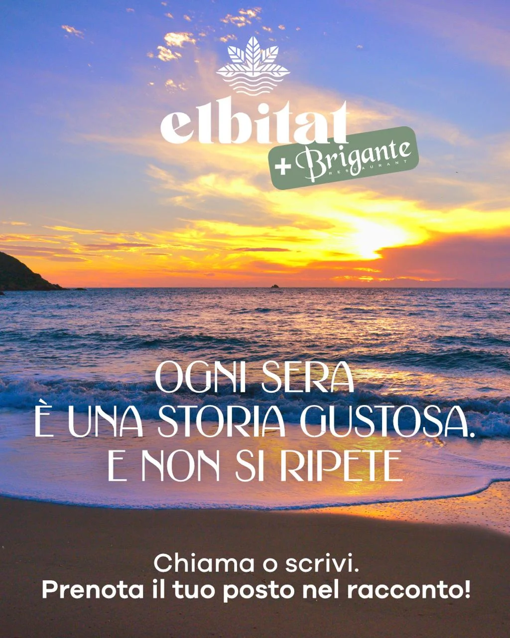Elbitat × Brigante