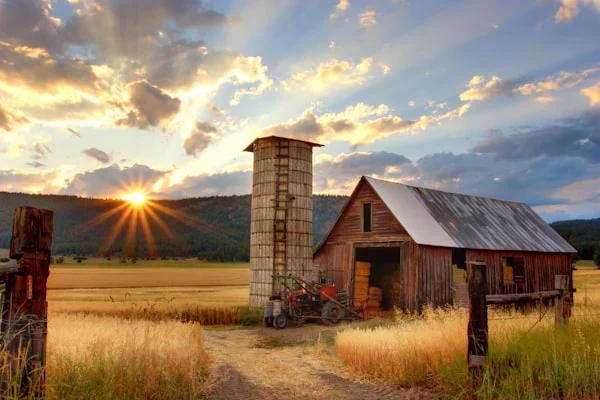 Educational Farm