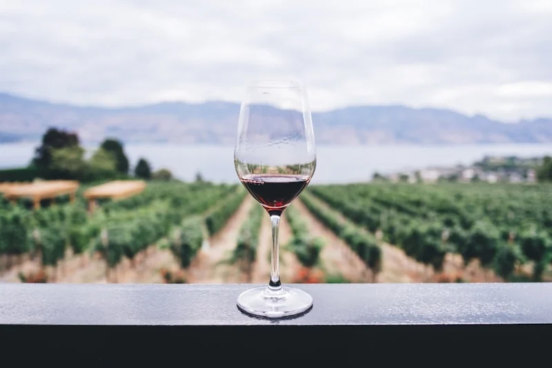 Wines of Elba